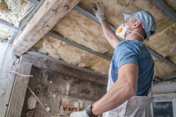 Types of Insulation We Offer in Nanawale Estates, HI